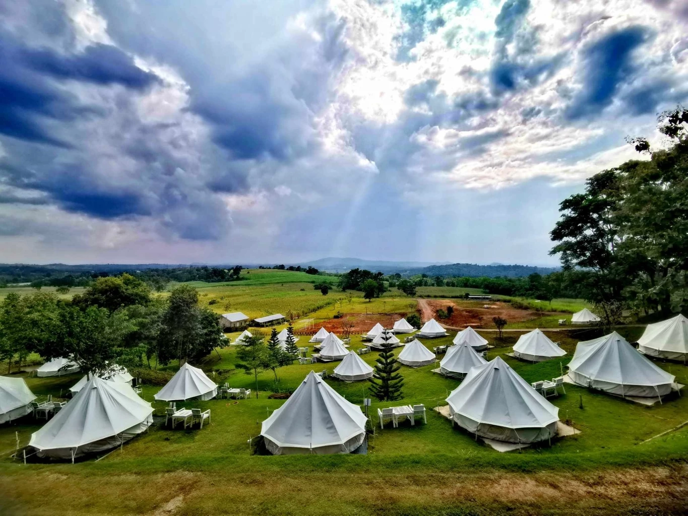 นทท.แห่รับลมหนาว ส่องดูฝูงกระทิงเขาแผงม้า ที่วังน้ำเขียวกันคึกคัก