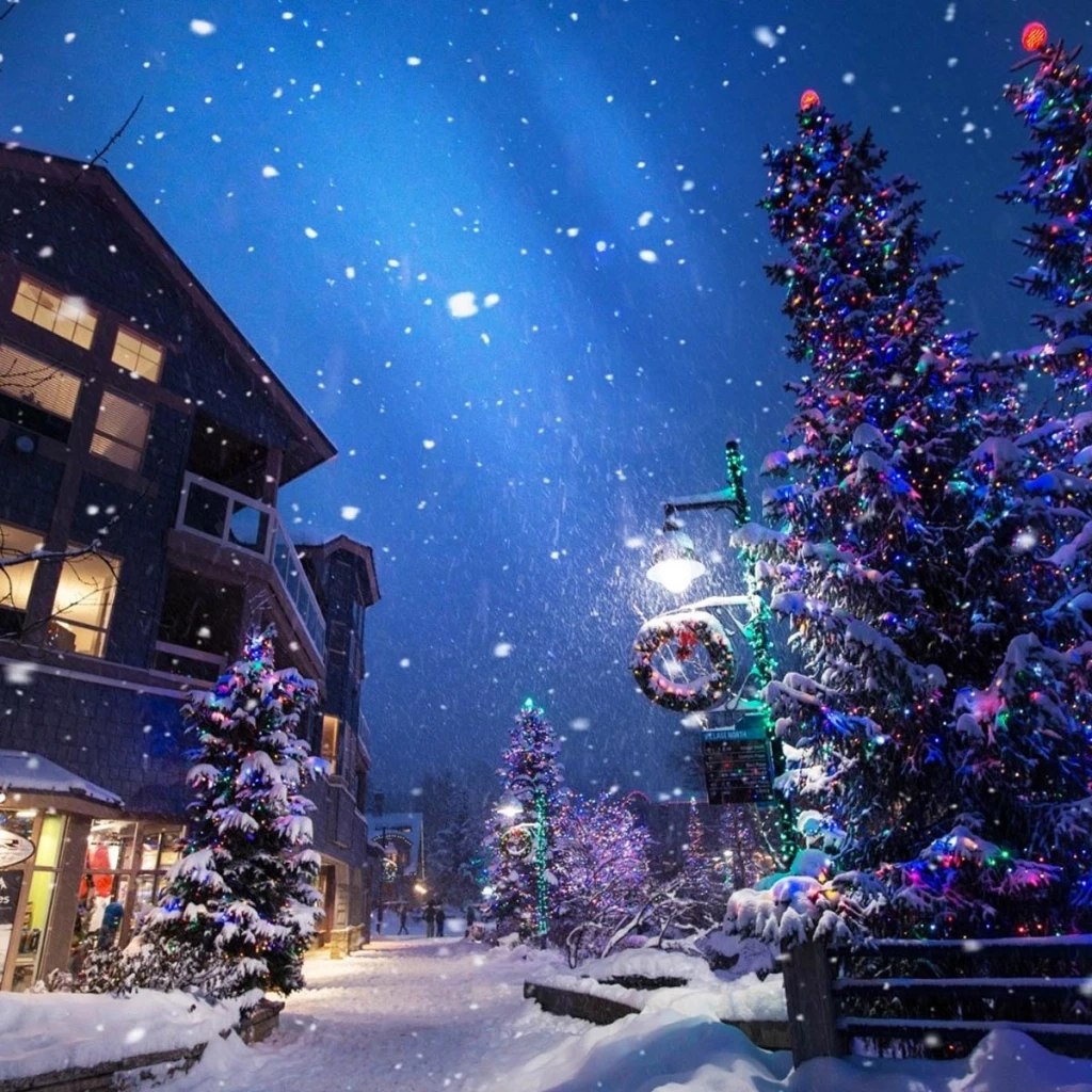 วันคริสต์มาสอีฟ และวันคริสต์มาส แตกต่างกันอย่างไร ทำไมถึงต้องตกแต่งต้นสน?