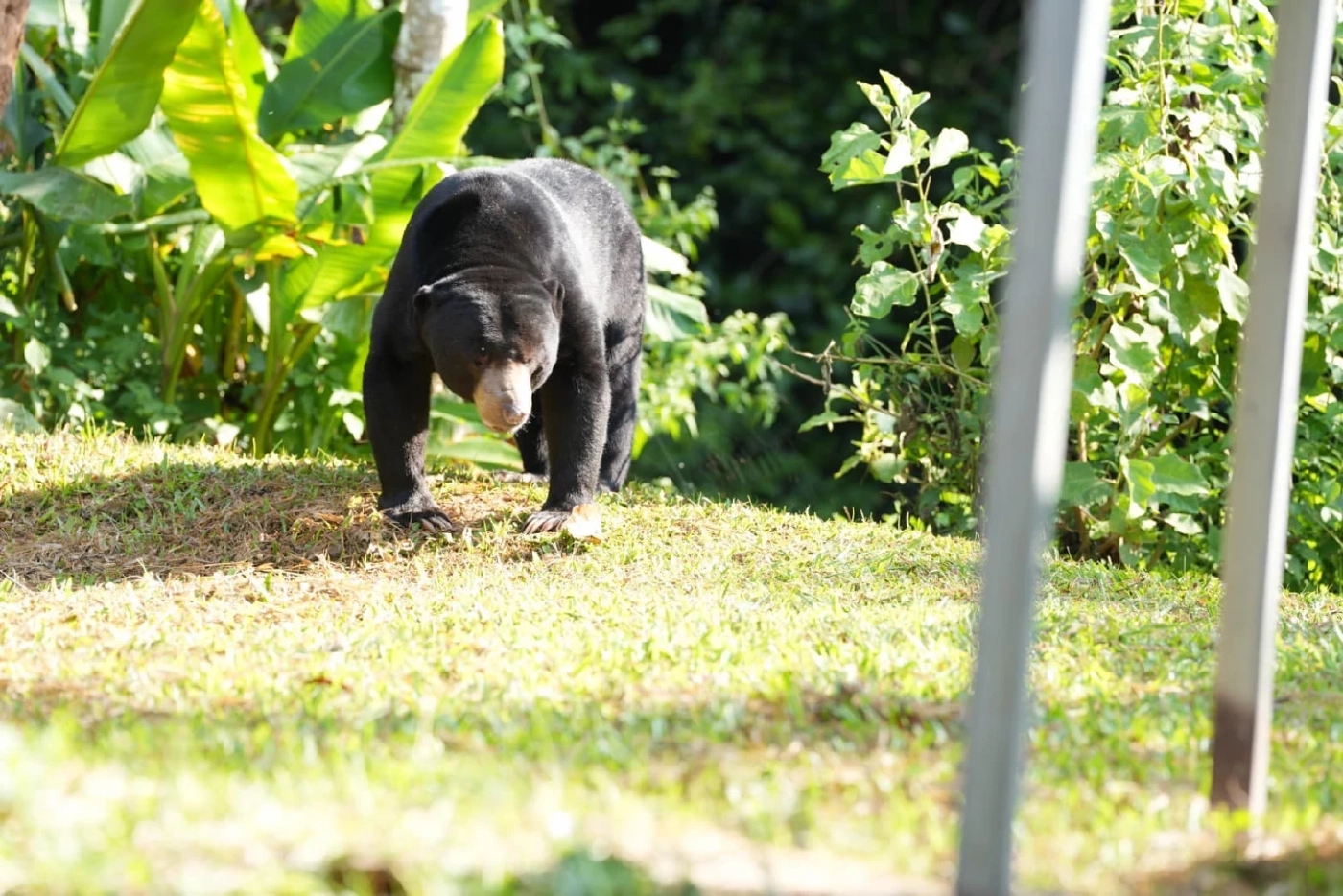 เปิดมุมมองชวนท่องเที่ยวไทยอย่างยั่งยืนในพื้นที่แก่งกระจาน