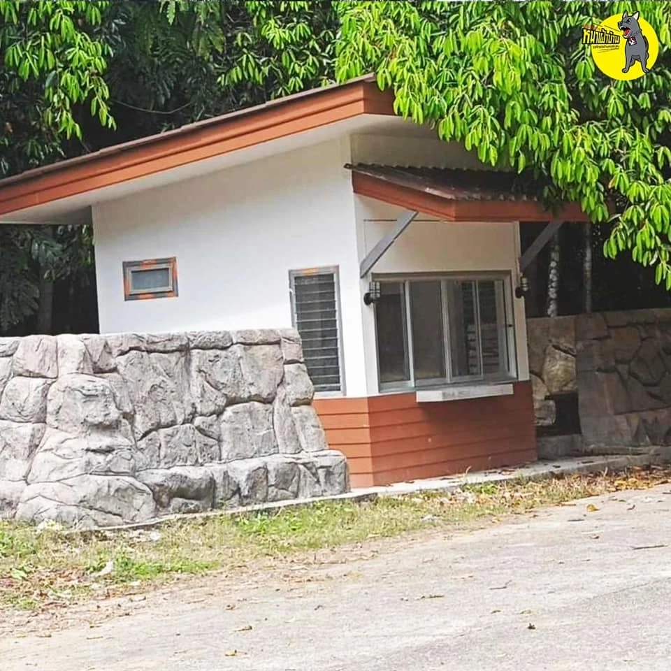 ทสจ.สตูล สั่งเด้งควาย หลังเพจดังแฉ อาคารในสังกัดถูกทิ้งร้างจนทุยเข้าอยู่