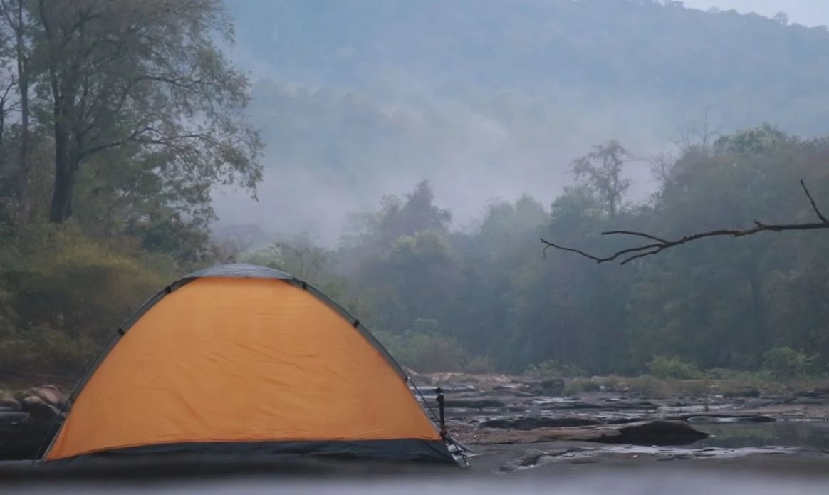 ชมความงาม "ดอกศิลาวารี" สัมผัสชีวิตสโลว์ไลฟ์ ที่ป่าคลองชมพู อช.ทุ่งแสลงหลวง