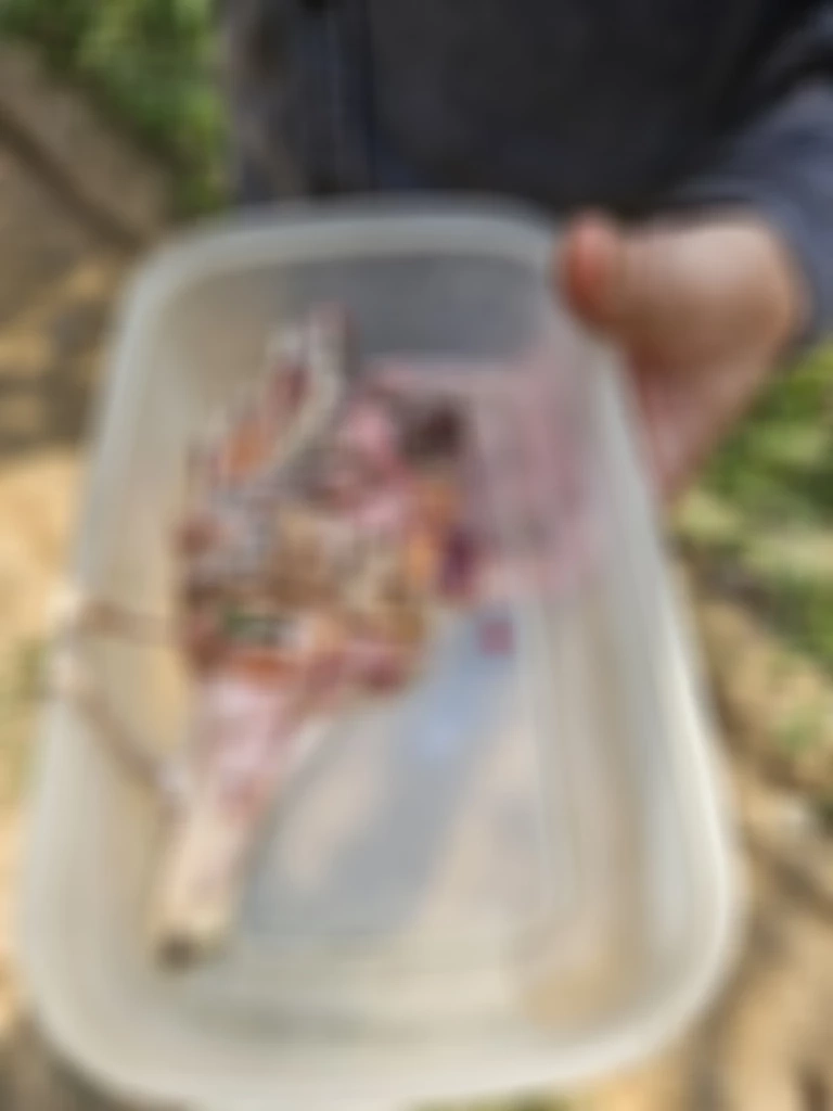 ส่วนที่ถูกตัด