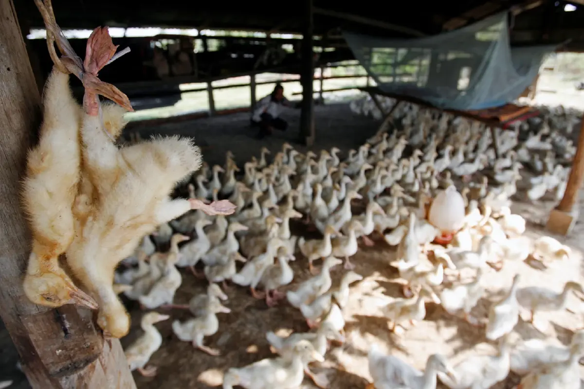 แฟ้มภาพ : Reuters