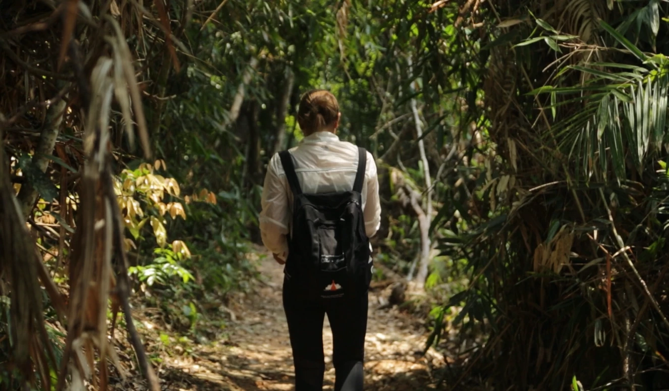 ชวนเดินป่าพักใจที่ "เขาใหญ่" ทิ้งความวุ่นวายสูดอากาศธรรมชาติให้เต็มปอด