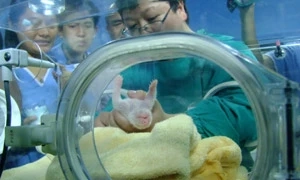 คนไทยอยากได้ไหม? "หมีแพนด้า" ในประเทศไทย อีกหนึ่งของขวัญจากนายกฯ เศรษฐา