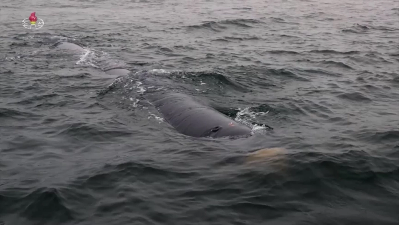 เกาหลีเหนือทดสอบระบบอาวุธนิวเคลียร์ใต้น้ำ