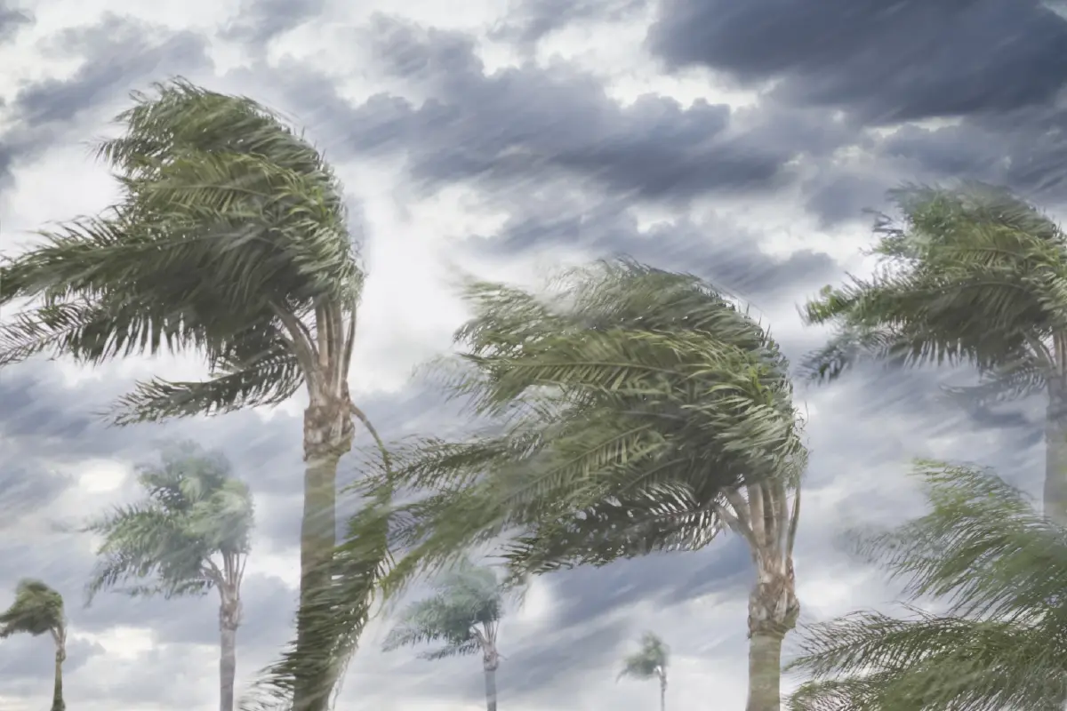 พยากรณ์อากาศวันนี้ พายุฝนฟ้าคะนอง ลมกระโชกแรง ลูกเห็บตก