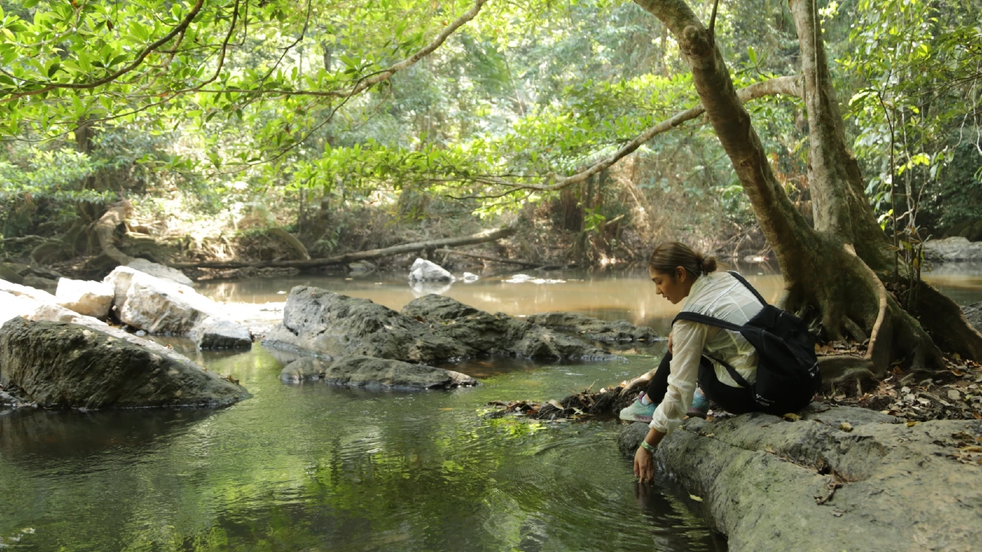 ชวนเดินป่าพักใจที่ "เขาใหญ่" ทิ้งความวุ่นวายสูดอากาศธรรมชาติให้เต็มปอด