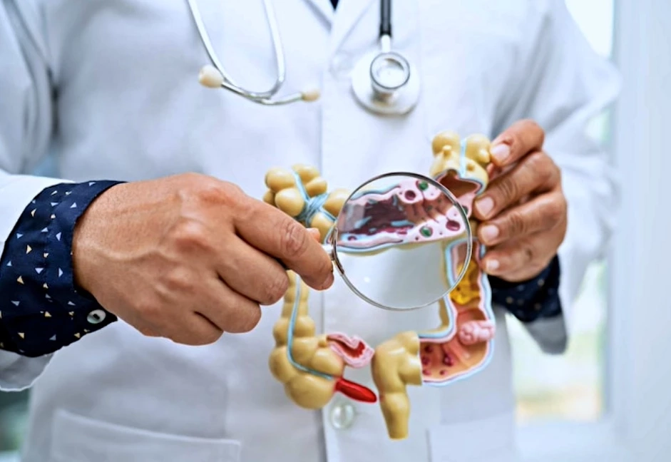 เพราะอะไร “ลำไส้” จึงถูกเปรียบให้เป็นสมองที่ 2 ของมนุษย์?