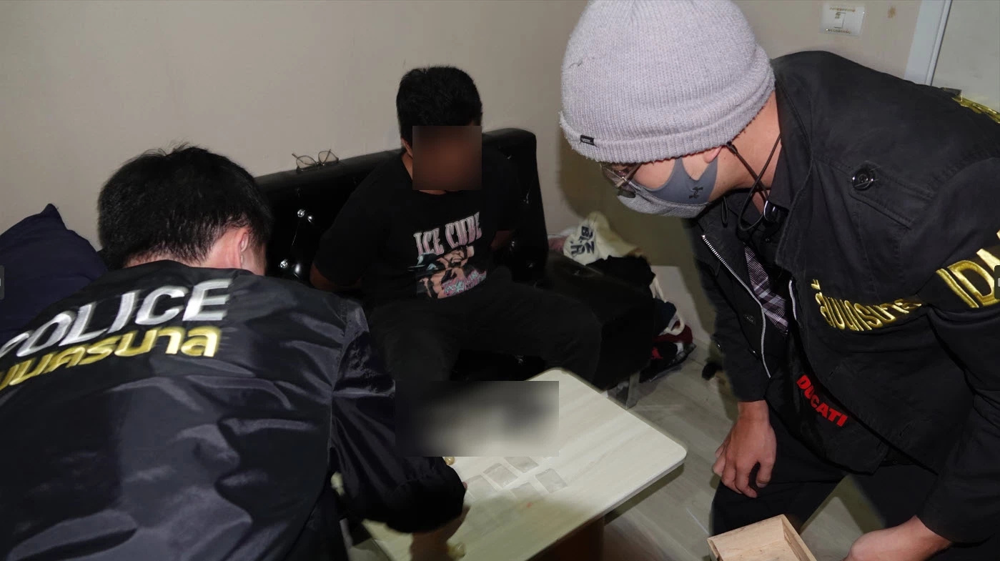 ใหม่ 29 ยอด