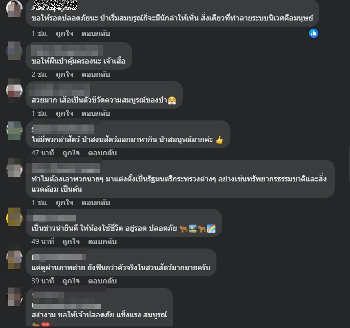 ตัวอย่างความคิดเห็นชาวเน็ต