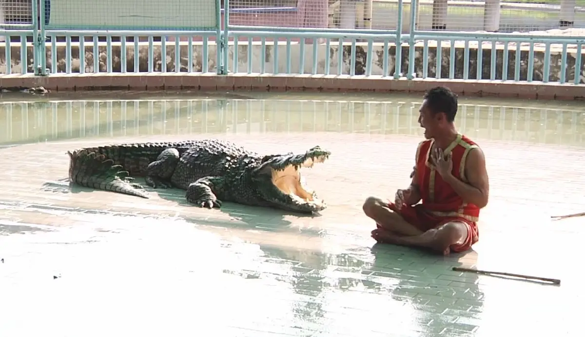 สำรวจ "บึงฉวาก" พบ นักท่องเที่ยวพากันเข้าชมคึกคัก บรรยากาศไม่เงียบเหงา