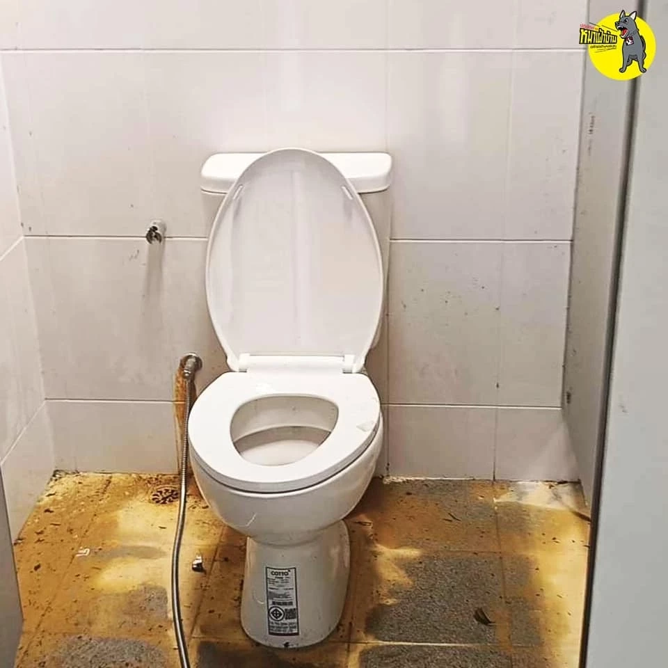 ทสจ.สตูล สั่งเด้งควาย หลังเพจดังแฉ อาคารในสังกัดถูกทิ้งร้างจนทุยเข้าอยู่