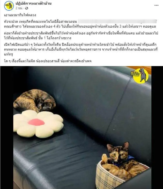 ทาสแมวว่าไง? เพจดังแฉ คณบดีฯ ขนแมวมานอนกินไฟหลวง เปิดแอร์ฉ่ำทั้งวันทั้งคืน