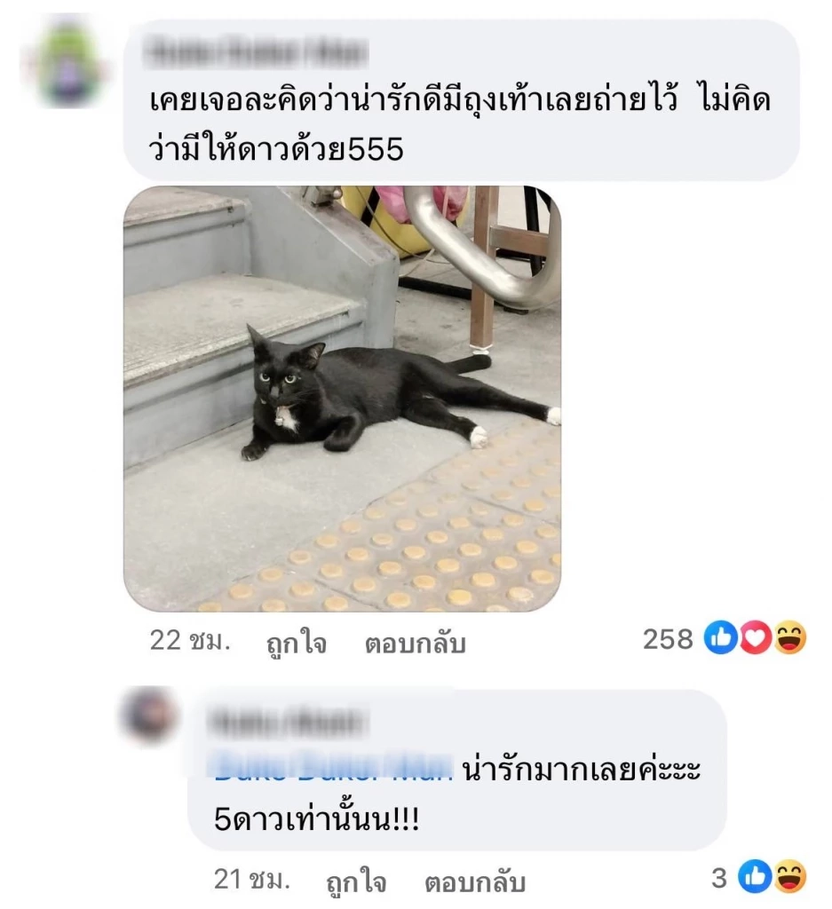 ใครเคยเจอบ้าง? "แมวดำถุงเท้าขาว" แลนด์มาร์ค MRT พหลโยธิน ที่ได้รับรีวิวถึง 5 ดาว