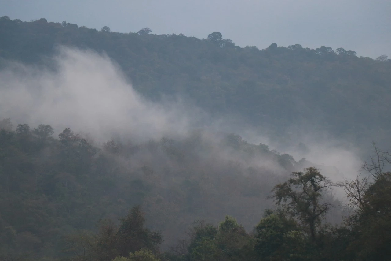 ชมความงาม "ดอกศิลาวารี" สัมผัสชีวิตสโลว์ไลฟ์ ที่ป่าคลองชมพู อช.ทุ่งแสลงหลวง