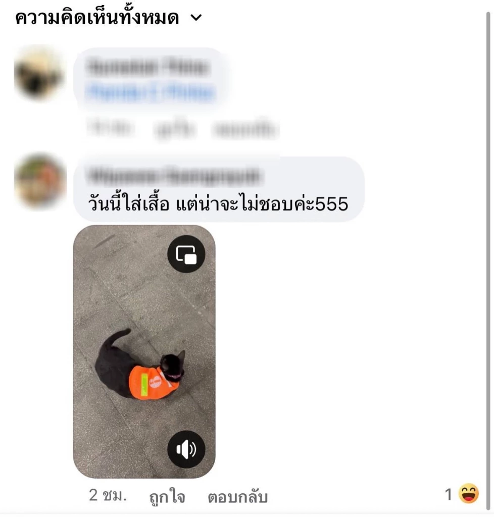 ใครเคยเจอบ้าง? "แมวดำถุงเท้าขาว" แลนด์มาร์ค MRT พหลโยธิน ที่ได้รับรีวิวถึง 5 ดาว