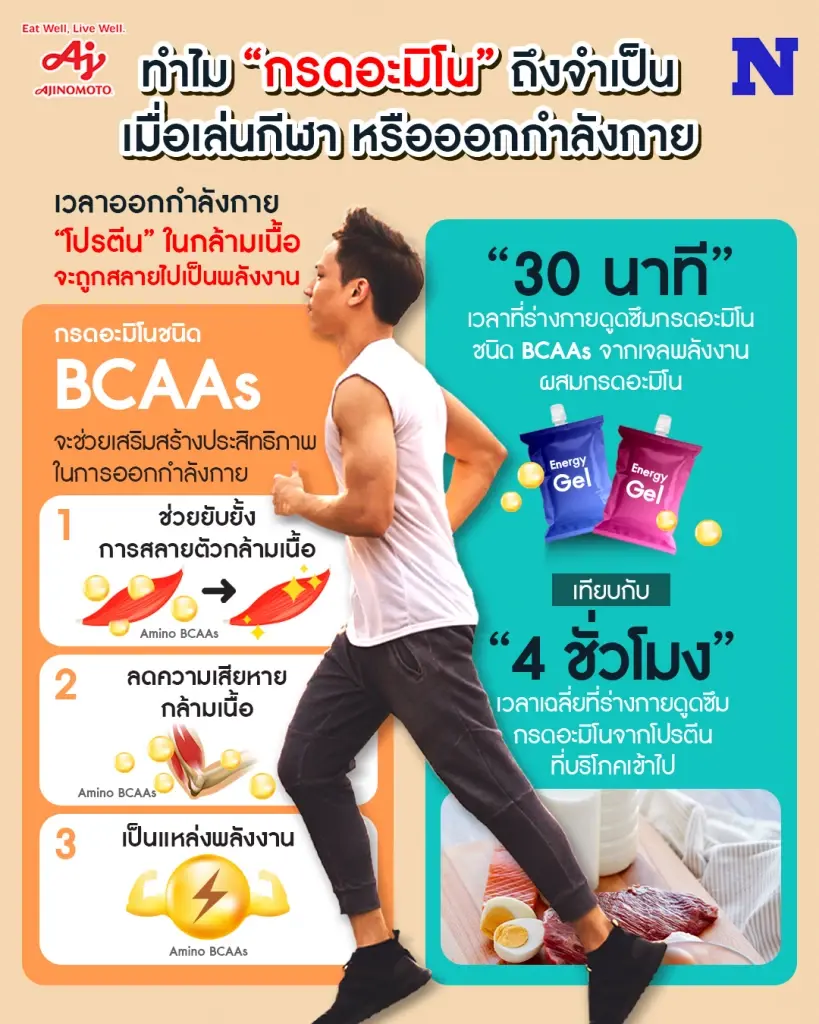 กรดอะมิโน ชนิด BCAAs 