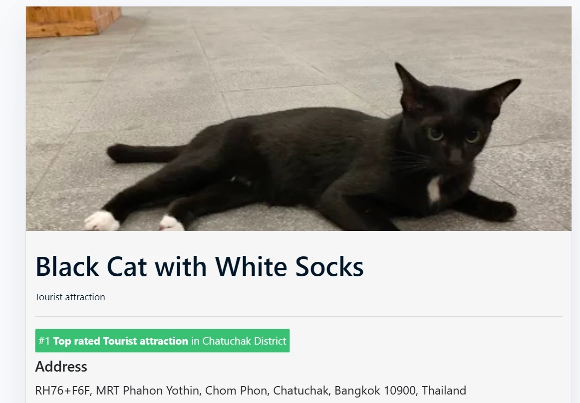 ใครเคยเจอบ้าง? "แมวดำถุงเท้าขาว" แลนด์มาร์ค MRT พหลโยธิน ที่ได้รับรีวิวถึง 5 ดาว