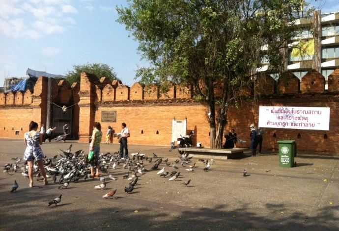 ช็อตฟีลชาวเน็ต เมื่อรู้ "ประตูท่าแพ" ไม่ใช่โบราณสถาน แล้วความจริงเป็นยังไง