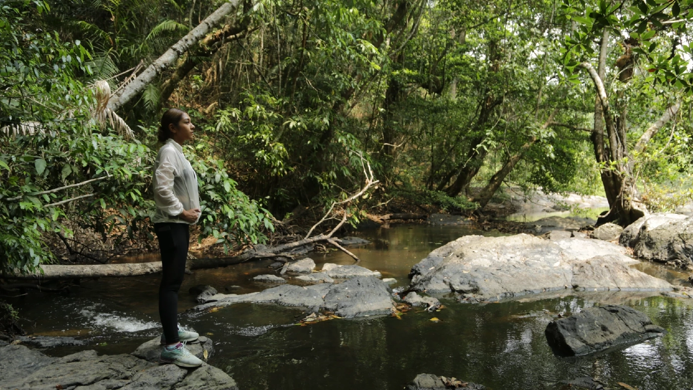 ชวนเดินป่าพักใจที่ "เขาใหญ่" ทิ้งความวุ่นวายสูดอากาศธรรมชาติให้เต็มปอด