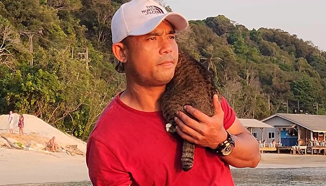 "กราว" จากแมวจรไร้บ้าน กลายมาเป็น "กัปตันแคท" เซเลปเกาะกูด