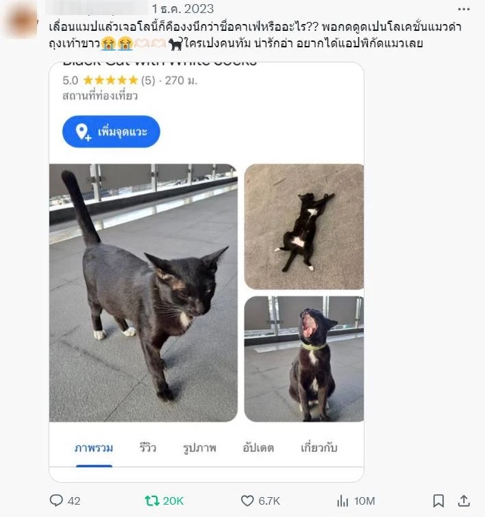 ใครเคยเจอบ้าง? "แมวดำถุงเท้าขาว" แลนด์มาร์ค MRT พหลโยธิน ที่ได้รับรีวิวถึง 5 ดาว