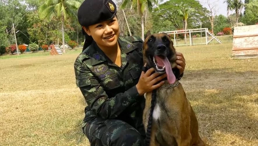 สิบตรี หญิง สุชญา อุทโท ผู้บังคับสุนัขทหาร และเจ้าเบนจามิน 