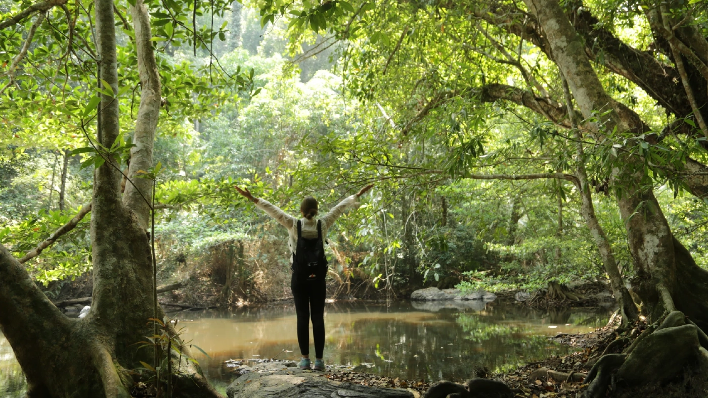 ชวนเดินป่าพักใจที่ "เขาใหญ่" ทิ้งความวุ่นวายสูดอากาศธรรมชาติให้เต็มปอด