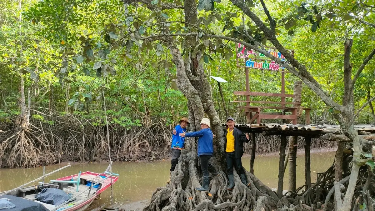 พบเส้นทางท่องเที่ยวใหม่ สตูล ล่องเรือชมธรรมชาติ เช็คอินต้นพังกาหัวสุมดอกแดงร้อยปี