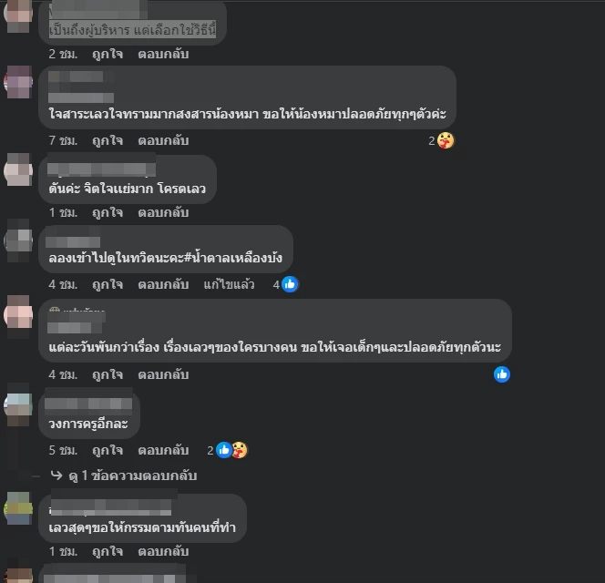 ตัวอย่างความคิดเห็นชาวเน็ต