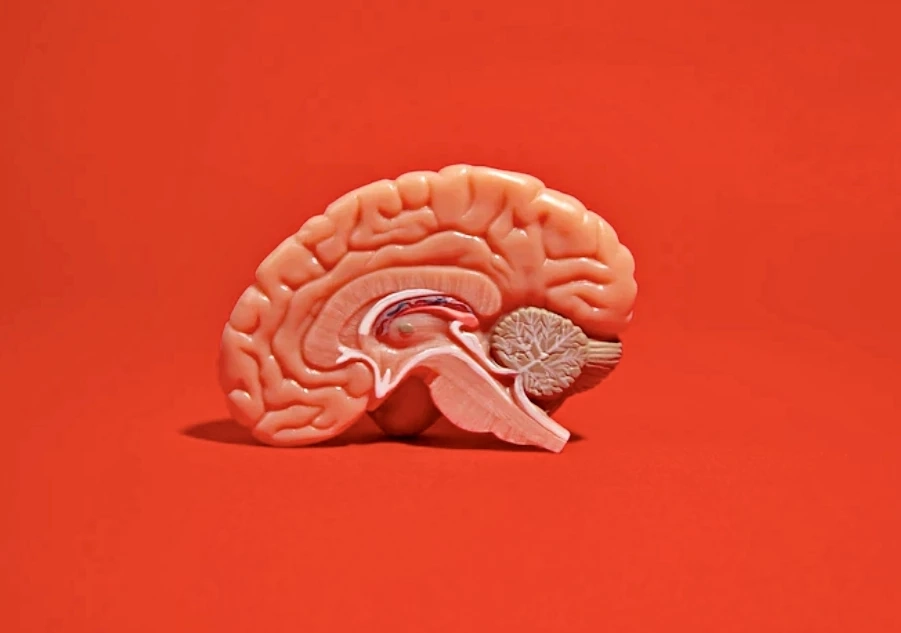 เจาะ 13 สาเหตุ “เลือดออกในสมอง” อันตรายถึงชีวิต ภาวะนี้มีสัญญาณเตือนหรือไม่