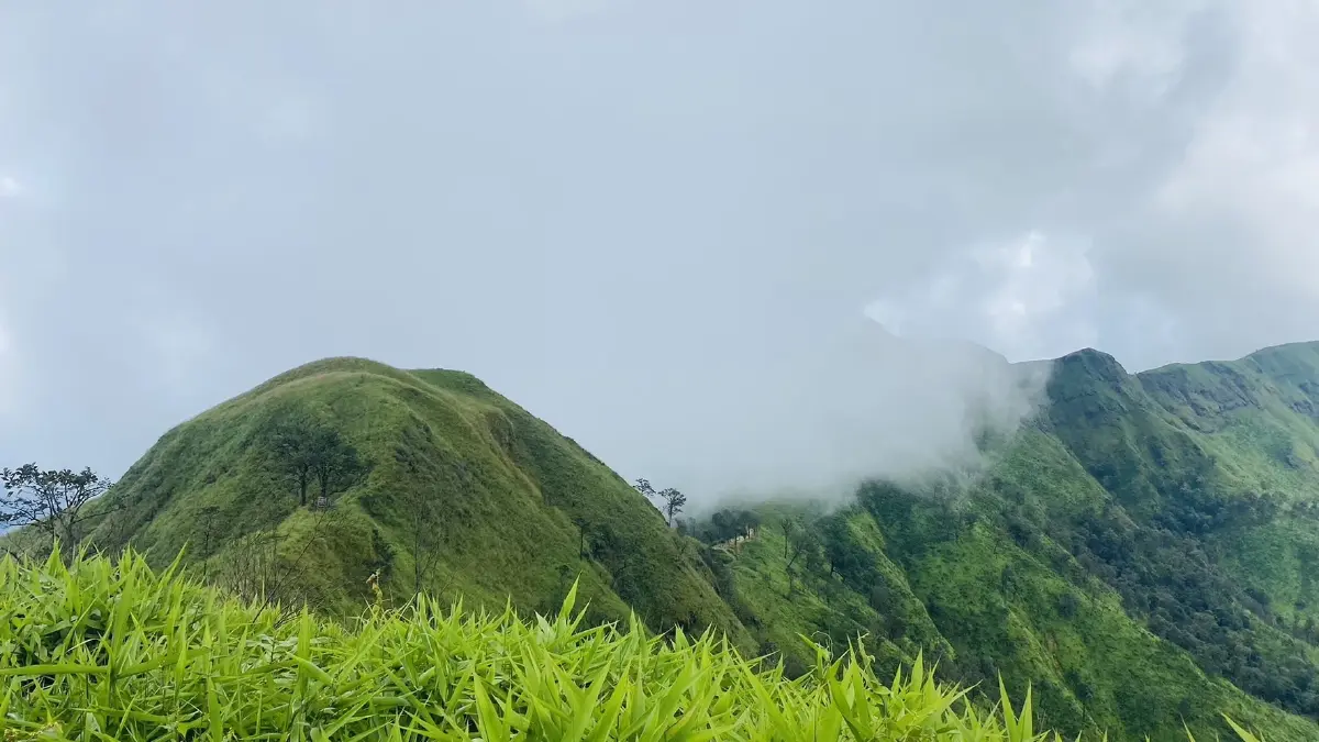 อุทยานฯ ทองผาภูมิ ประกาศปิด "เขาช้างเผือก" หลังหมดโปรหนาวเข้าสู่โหมดร้อน