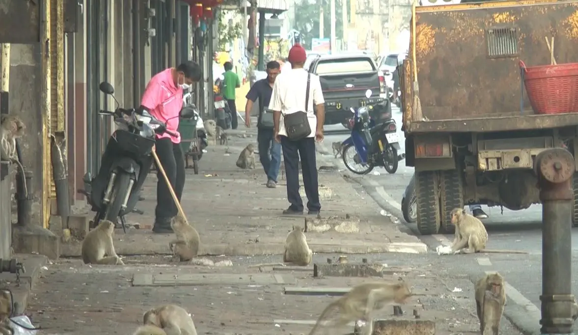 ไวรัลตลกร้าย "วันธรรมดาในลพบุรี" ส่องมาตรการแก้ปัญหา ที่คนในพื้นที่ยังรอ