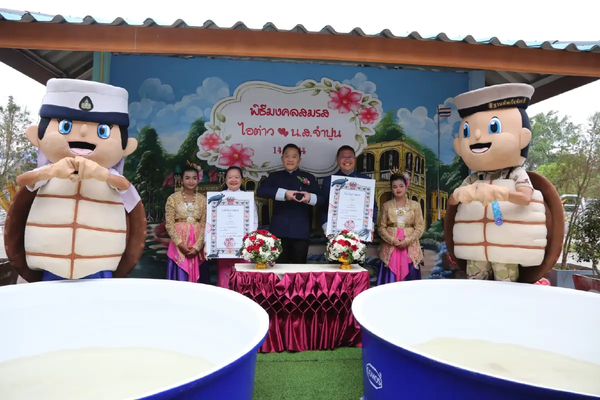 พังงา จัดงานจดทะเบียนสมรสให้เต่าตนุ "ไอต่าว - จำปูน" พร้อมคู่รัก รับ "วันวาเลนไทน์"