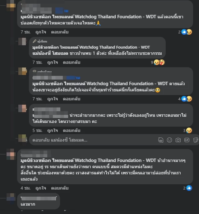 ตัวอย่างความคิดเห็นชาวเน็ต