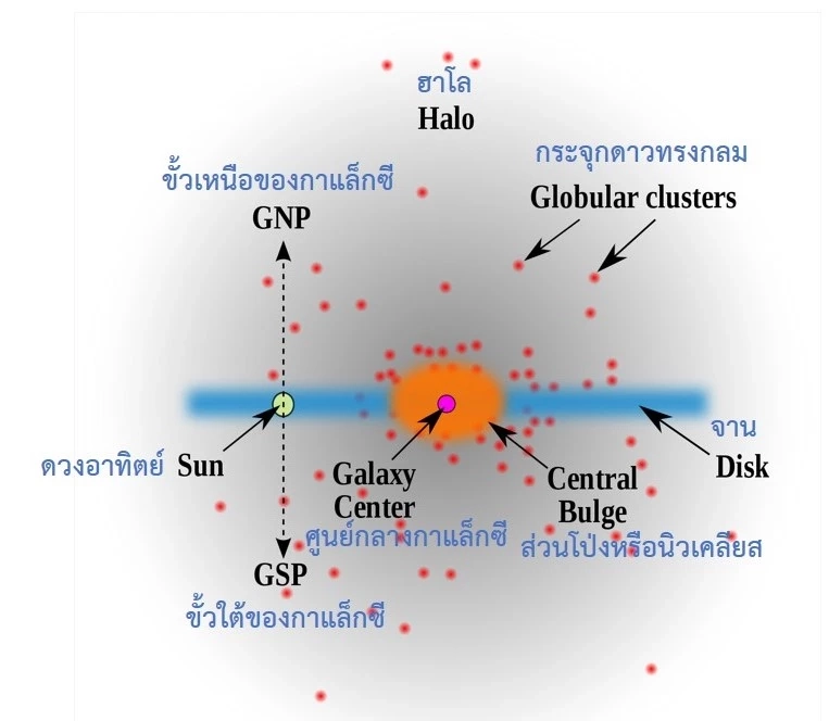 โครงสร้างของกาแล็กซีทางช้างเผือก ที่มา ดัดแปลงจาก https://commons.wikimedia.org/wiki/File:Milky_way_profile.svg, RJHall.