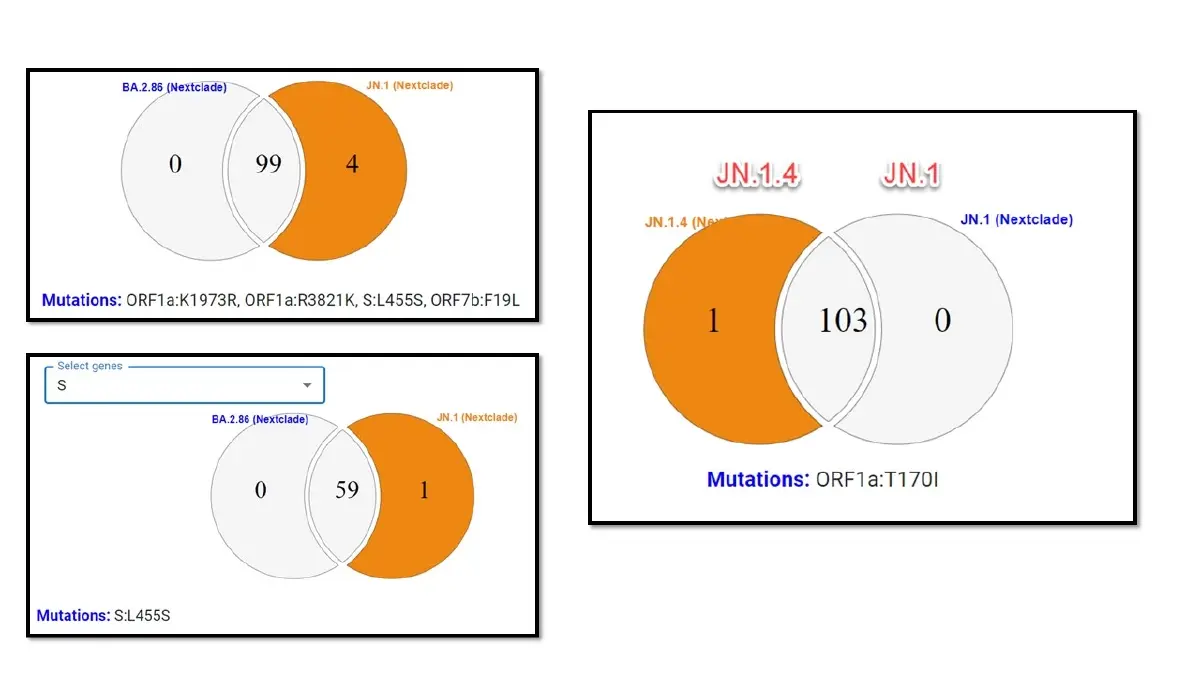 เปิดตัวโควิดสายพันธุ์ "JN.1.4" โอมิครอนตัวล่าสุดที่มาแรงแซงโค้งการระบาด