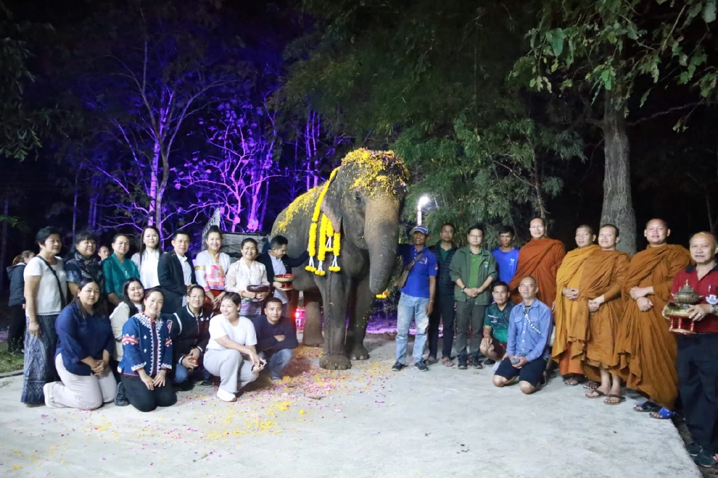 "พังดัมมี่" ถึงศูนย์อนุรักษ์ช้างไทย จ.ลำปาง คืนแรกล้มตัวหลับสนิท