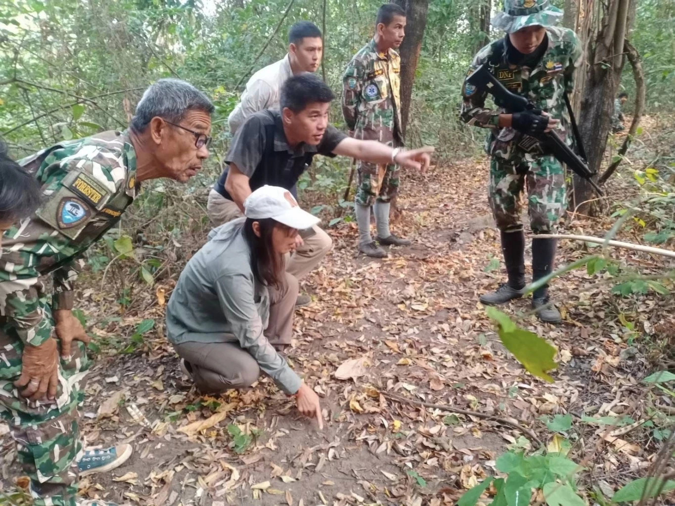 สรุปปฏิบัติการล็อกตัว "บะลาโกล" เสือโคร่งแม่ไม่เลี้ยง ช่วยหรือแทรกแซง