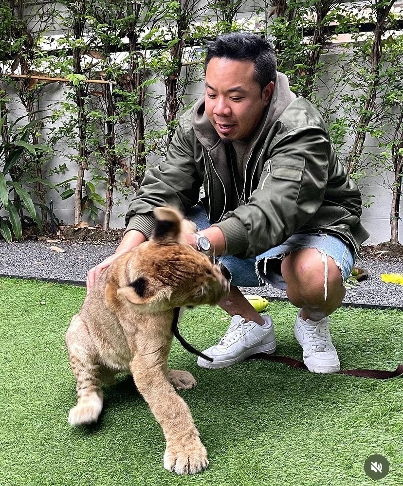 “ดีเจภูมิ” เคลียร์ดราม่าเลี้ยงสิงโต ยัน! ไม่ฟอกเงินรวยจริงไม่ใช่คอนเทนต์