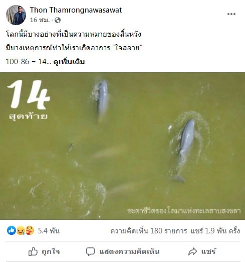 พบ "โลมาอิรวดี" ในทะเลสาบสงขลา ตายอีกหนึ่งตัว ปิดตำนาน TheLast14