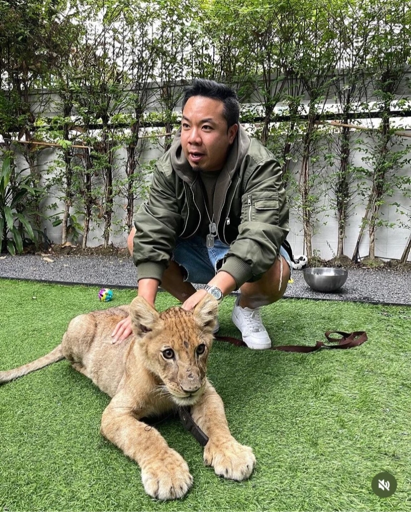 “ดีเจภูมิ” เคลียร์ดราม่าเลี้ยงสิงโต ยัน! ไม่ฟอกเงินรวยจริงไม่ใช่คอนเทนต์