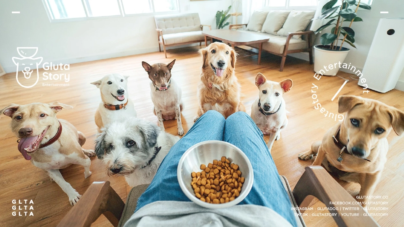 หัวใจแตกสลาย "ยอร์ช สรศาสตร์" โพสต์แจ้งข่าว "กลูต้า" เพื่อนซี้ กลับดาวหมาแล้ว