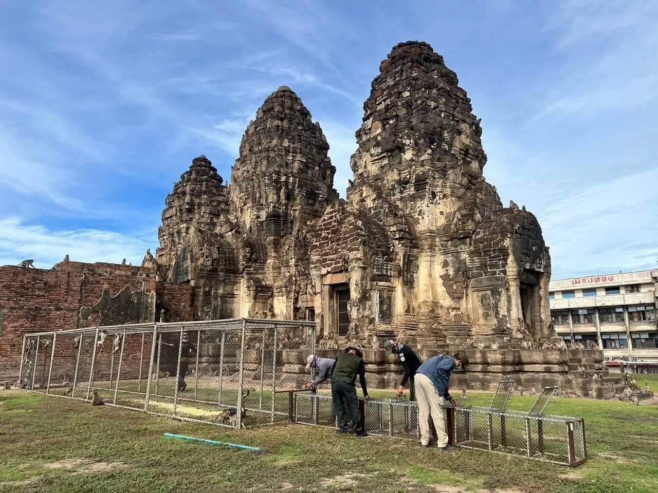 "ลิงลพบุรี" สะเทือนกรมอุทยานฯ "พัชรวาท" สั่งออกระเบียบจ่ายเยียวยา กรณี ปชช. ถูกทำร้าย