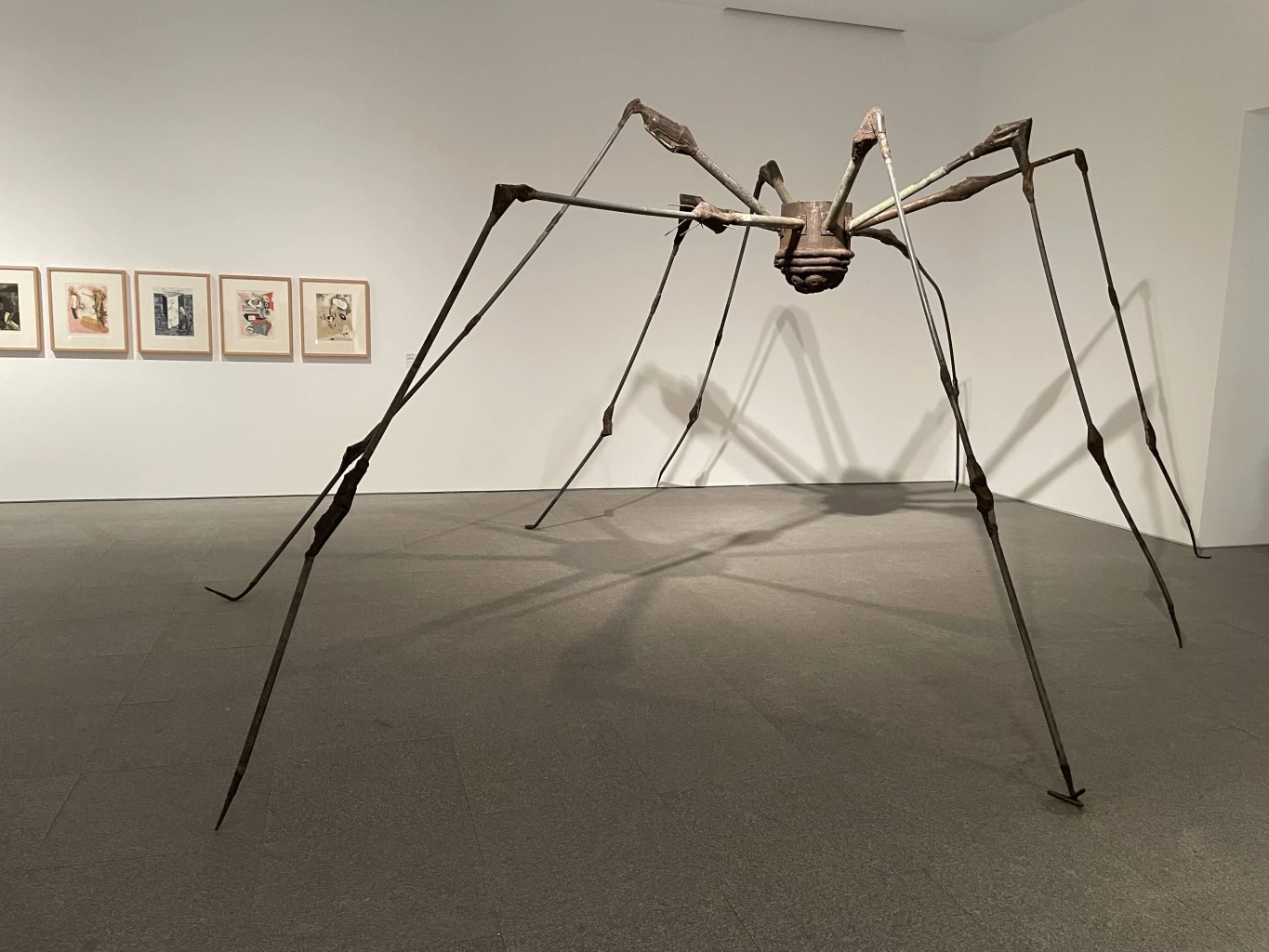 Spider (1994), พิพิธภัณฑ์ Reina Sofía กรุงมาดริด สเปน. ภาพโดย ภาณุ บุญพิพัฒนาพงศ์