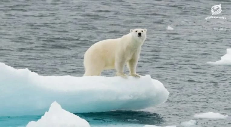 เครดิตภาพ : มูลนิธิสืบนาคะเสถียร