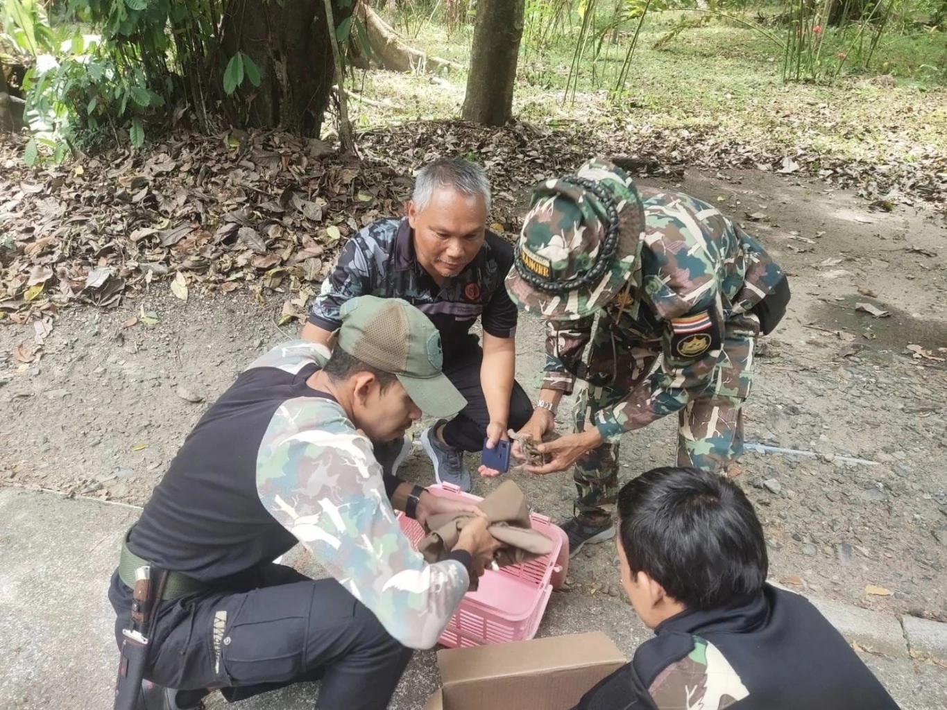 เคระดิตภาพ : ประชาสัมพันธ์ กรมอุทยานแห่งชาติ สัตว์ป่า และพันธุ์พืช 