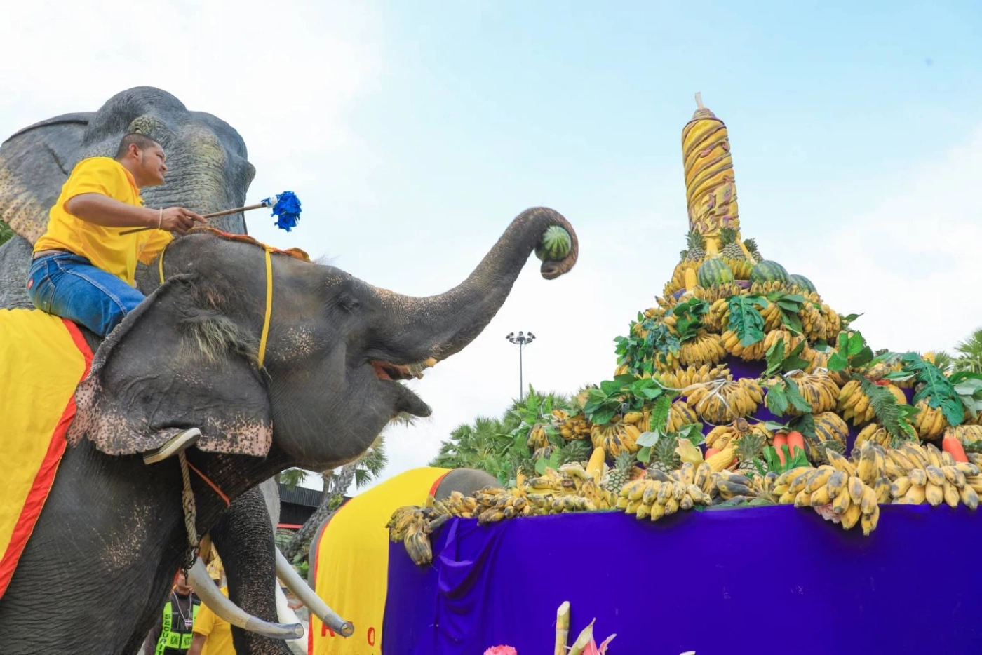 จัดใหญ่วันช้างไทย 13 มีนา ร่วมฉลองและให้ความสำคัญต่อการอนุรักษ์สัตว์คู่บ้านคู่เมือง