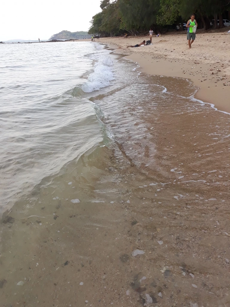 "ฝรั่งเตะหมอ" ขยายวง คนภูเก็ตไม่ขอทน ประกาศทวงคืน "หาดแหลมหงา" ถูกเอกชนยึดครอง